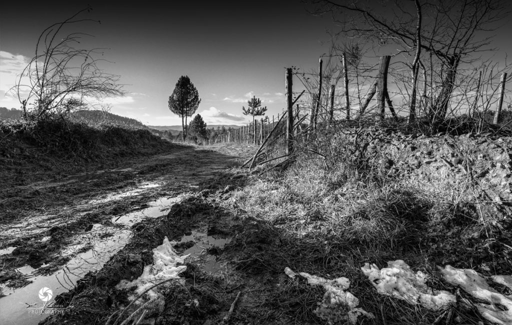 Landscapes / Black & White