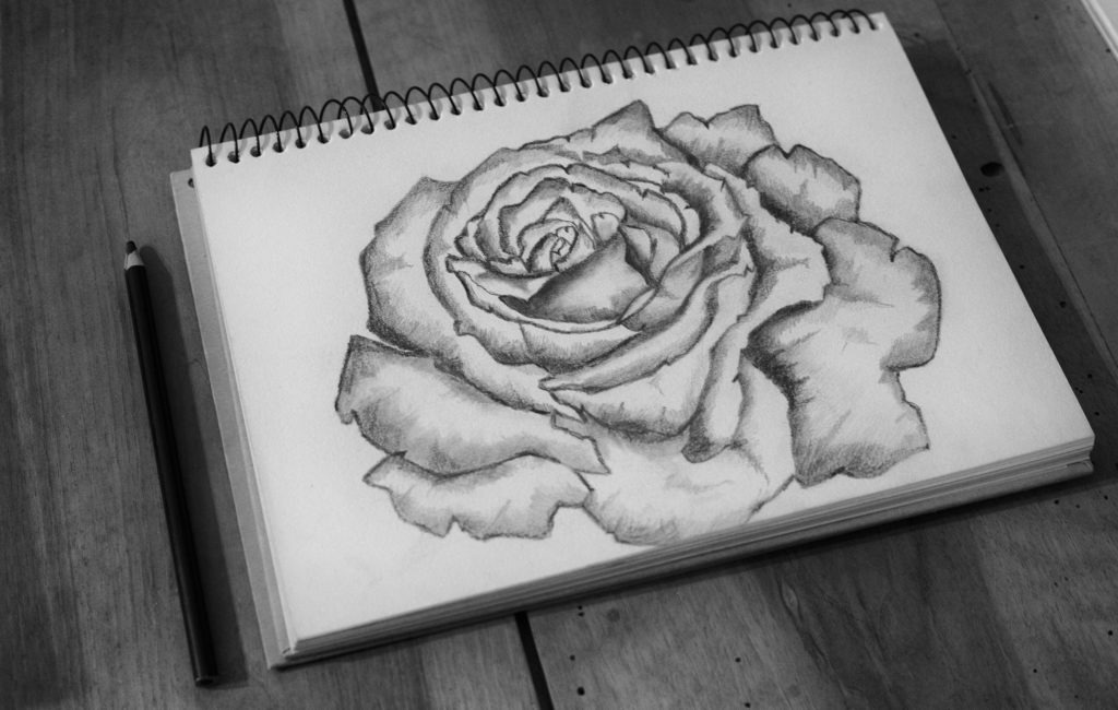 Pencil Drawings